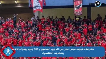 «فرصة ذهبية» فرص عمل في الدوري المصري بـ 500 جنيه يوميًا والآلاف ينتظرون التفاصيل